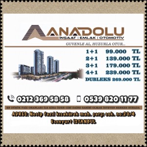 Anadolu İnşaat Emlak Otomotiv