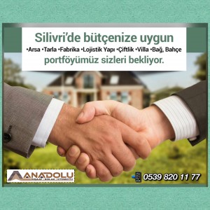 Anadolu İnşaat Emlak Otomotiv