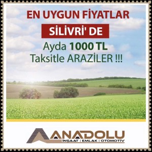 Anadolu İnşaat Emlak Otomotiv