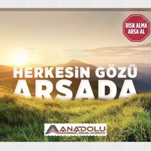 Anadolu İnşaat Emlak Otomotiv