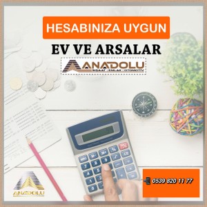 Anadolu İnşaat Emlak Otomotiv