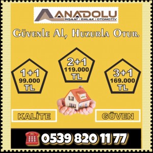 Anadolu İnşaat Emlak Otomotiv