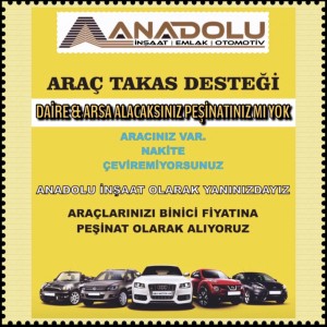 Anadolu İnşaat Emlak Otomotiv