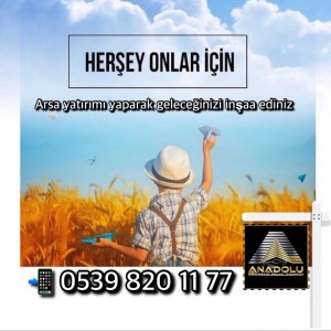 Anadolu İnşaat Emlak Otomotiv