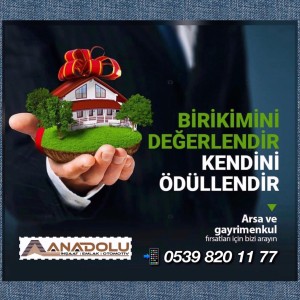 Anadolu İnşaat Emlak Otomotiv