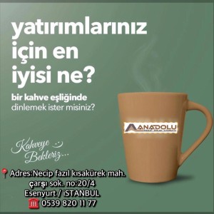 Anadolu İnşaat Emlak Otomotiv