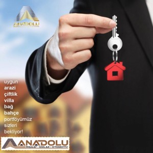 Anadolu İnşaat Emlak Otomotiv