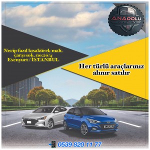 Anadolu İnşaat Emlak Otomotiv