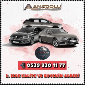 Anadolu İnşaat Emlak Otomotiv