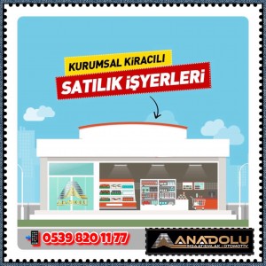Anadolu İnşaat Emlak Otomotiv
